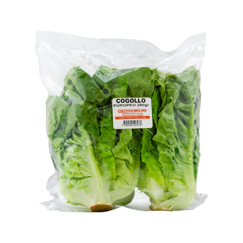 Cogollo Europeo*280G
