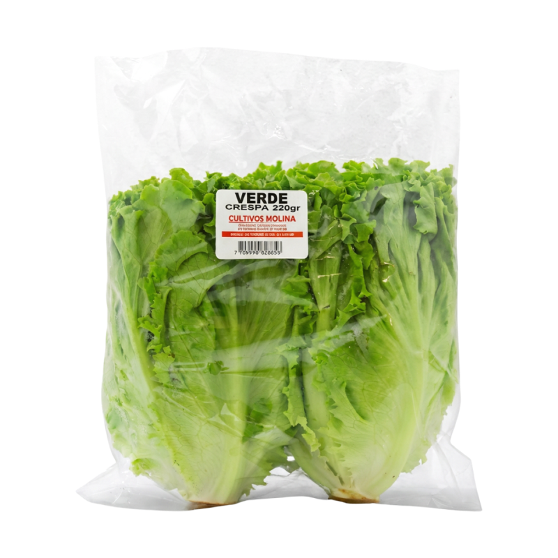 Lechuga Molina Crespa*220G