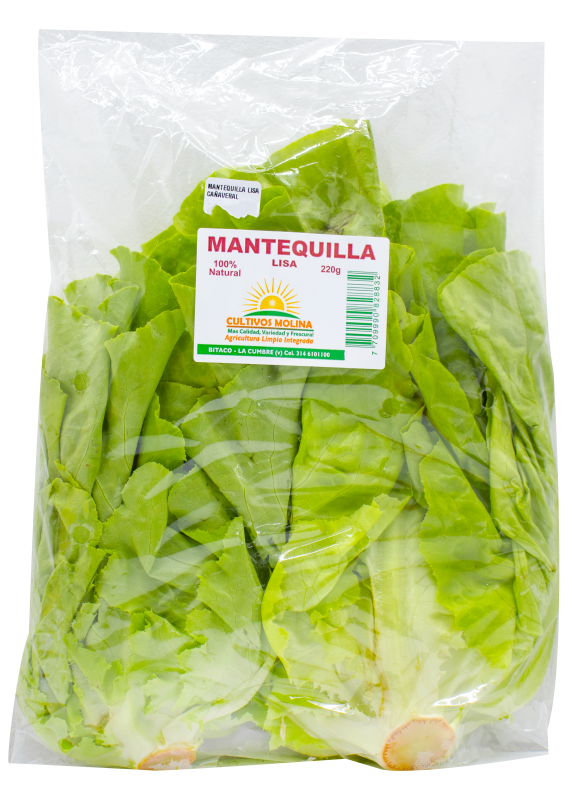 Lechuga Molina Mantequilla Lisa*220G