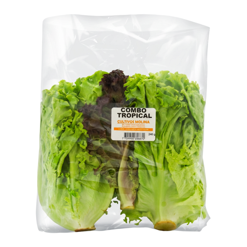 Lechuga Molina Tropical*240G