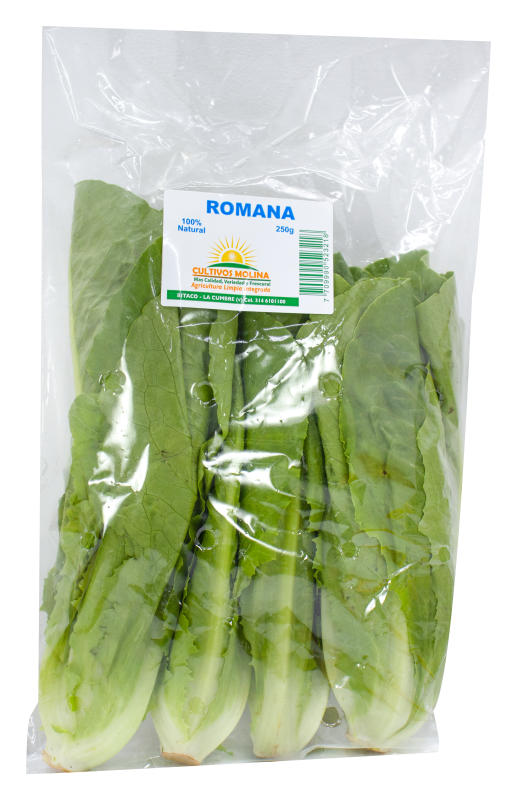 Lechuga Molina Romana*250G