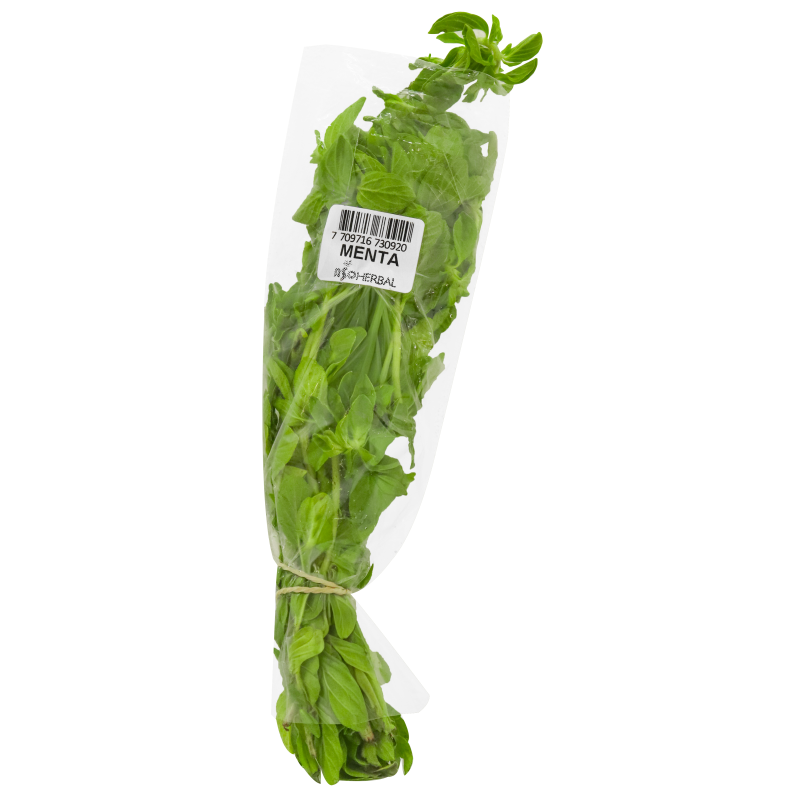 Menta*Und
