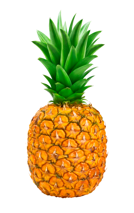 Piña Oro Miel A Granel