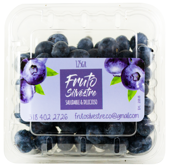 Arándanos Contenedor*125G