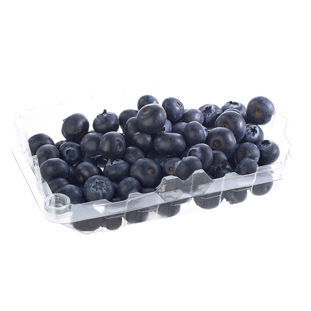 Arándanos Biohuerto*125G Organico