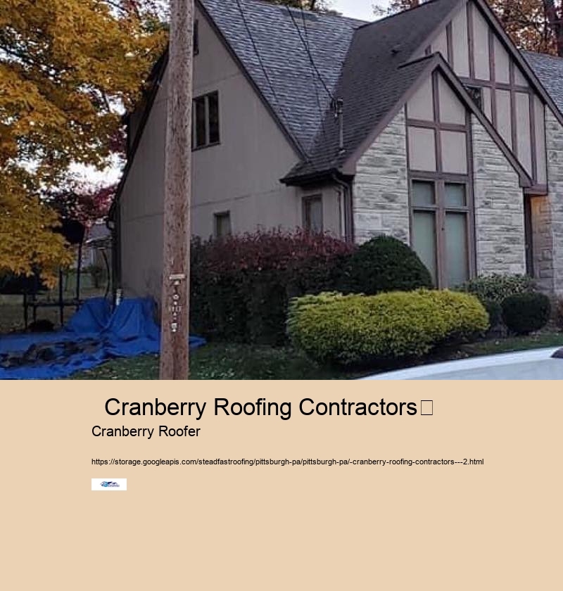   wexford roofing services         