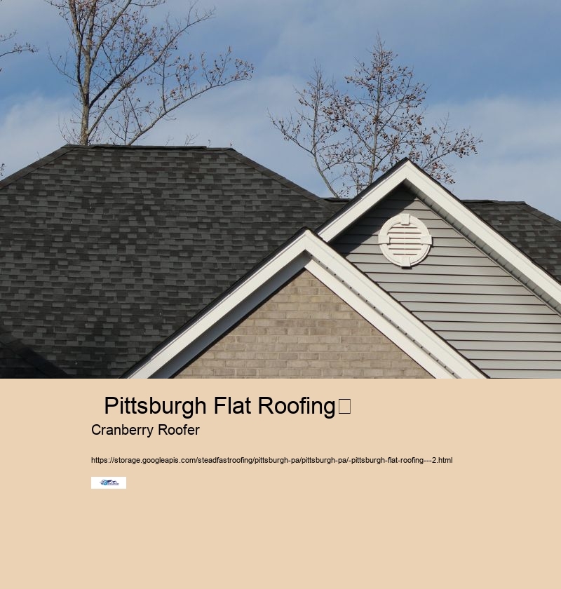   cranberry roofing contractors         