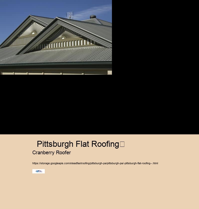   steadfast roofing         