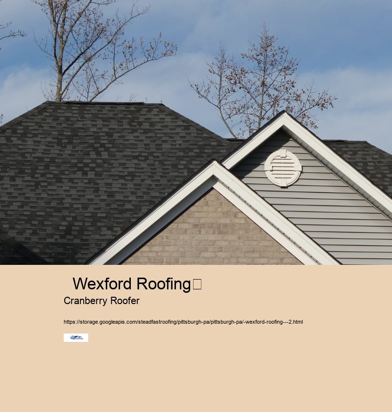   flying squirrel trampoline park zelienople, pa         