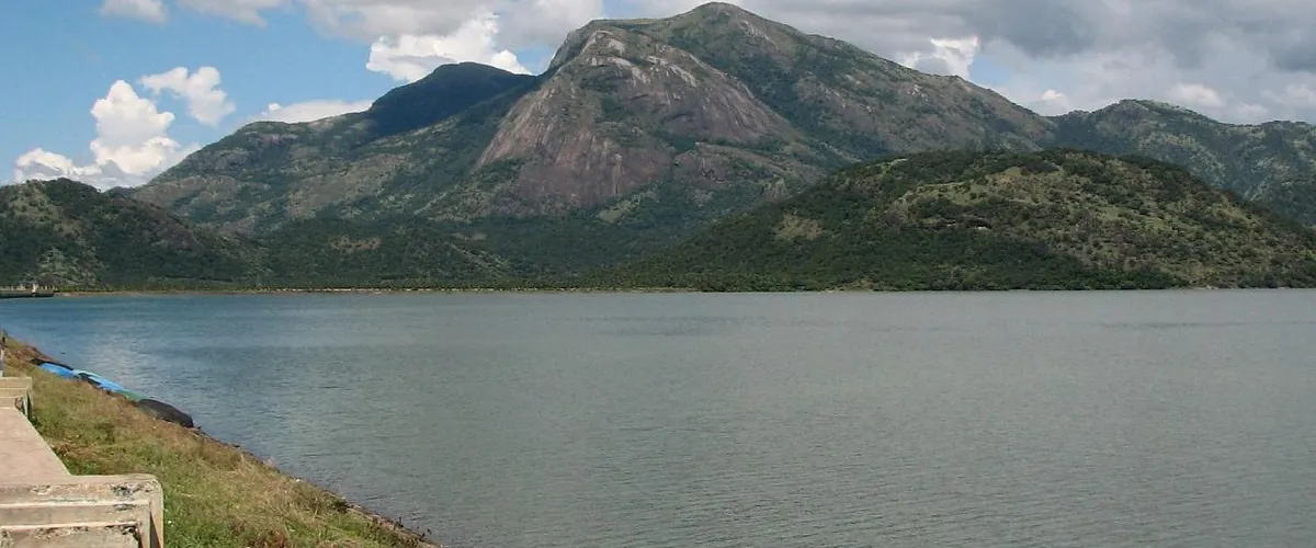 Aaliyar