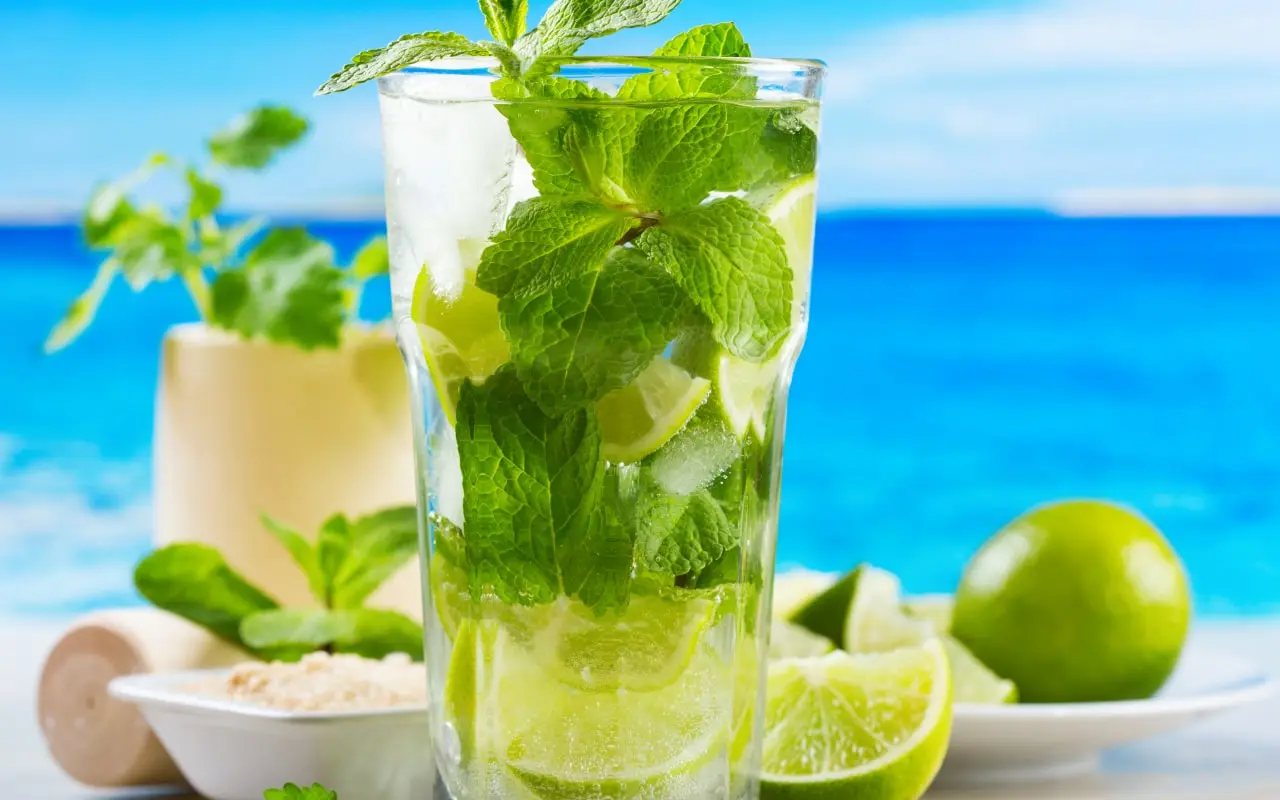 MOHITO