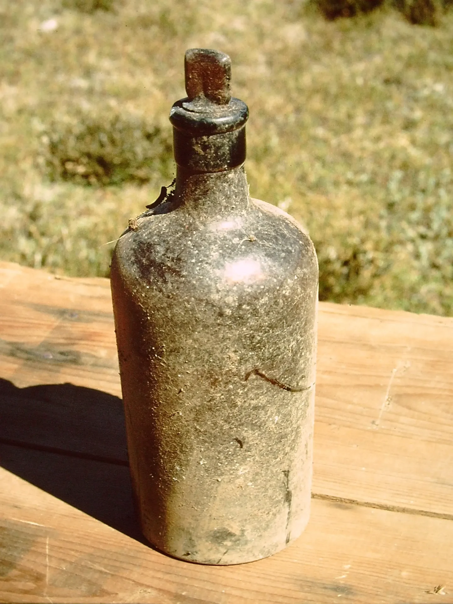 Bottle