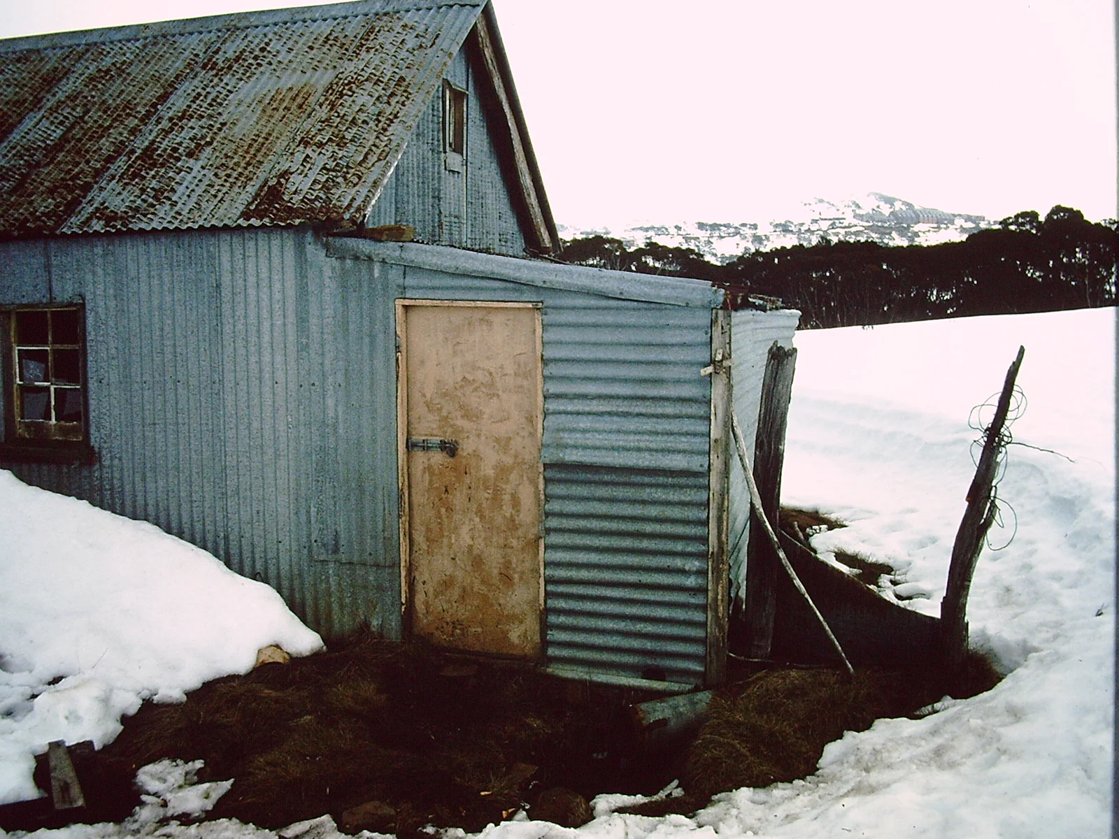 Front door