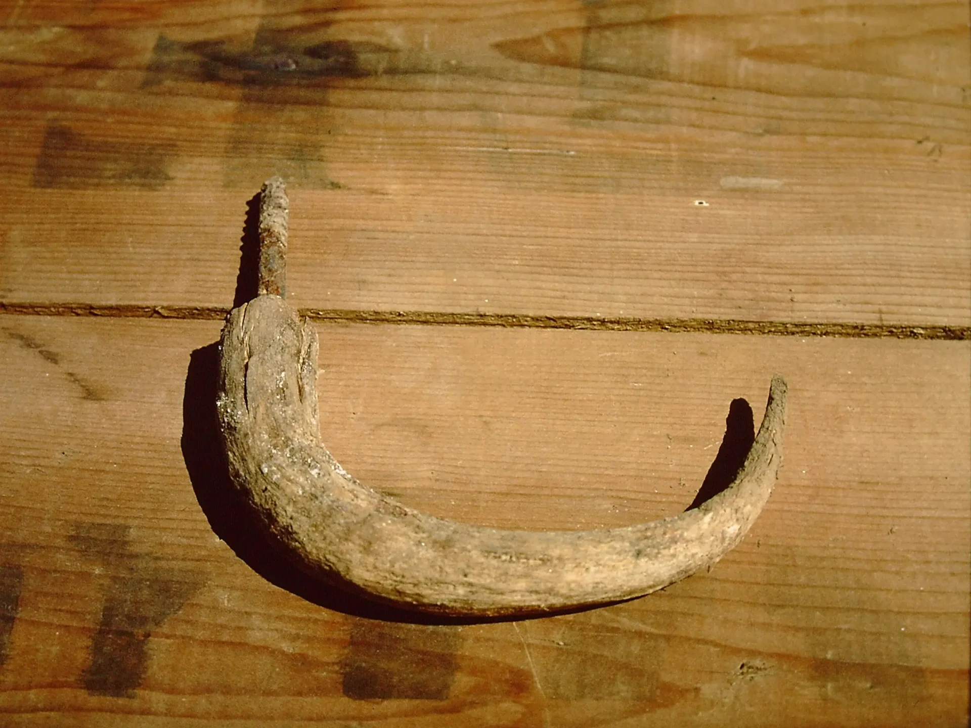 Umbrella handle