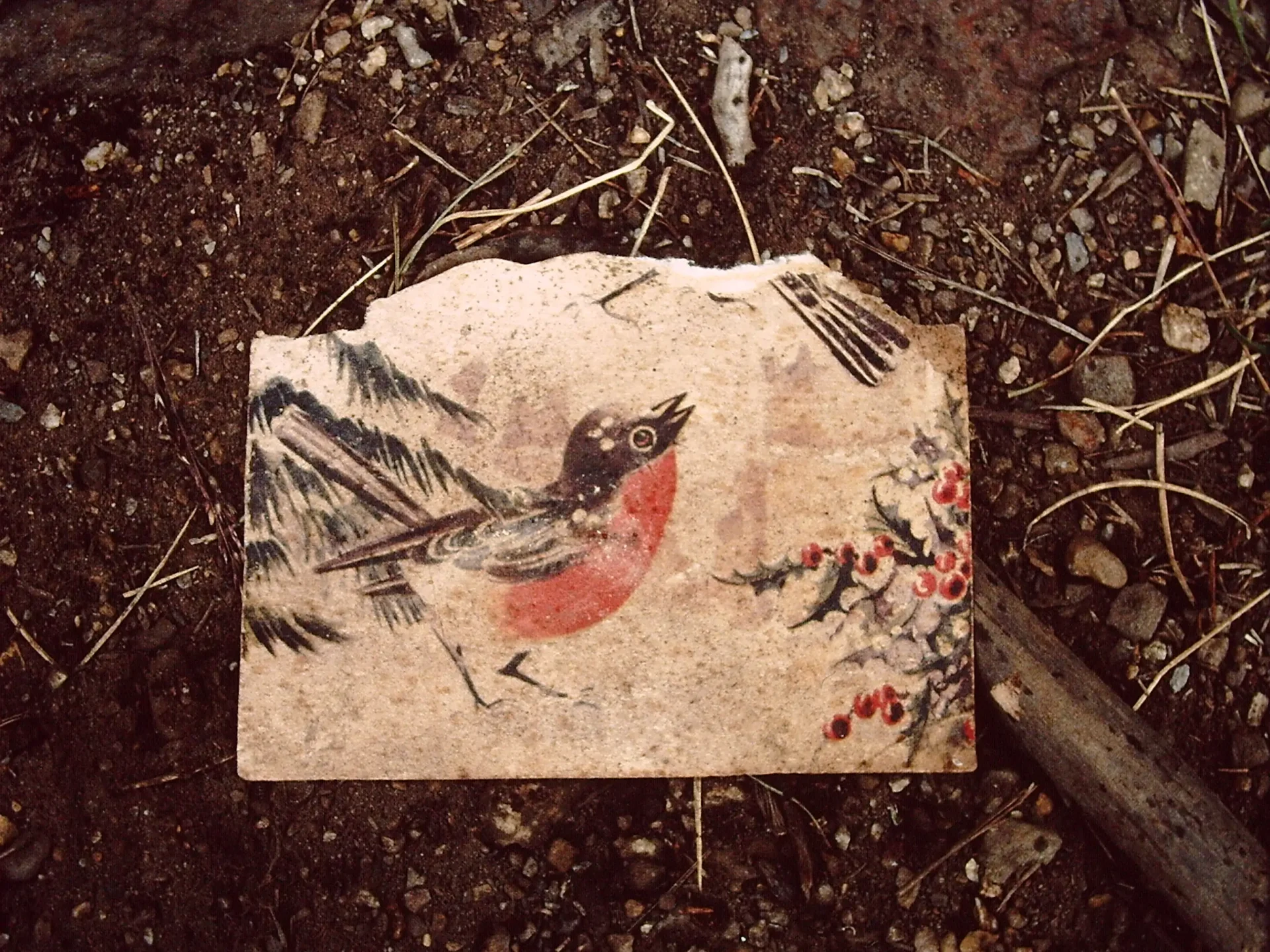 Red robin postcard