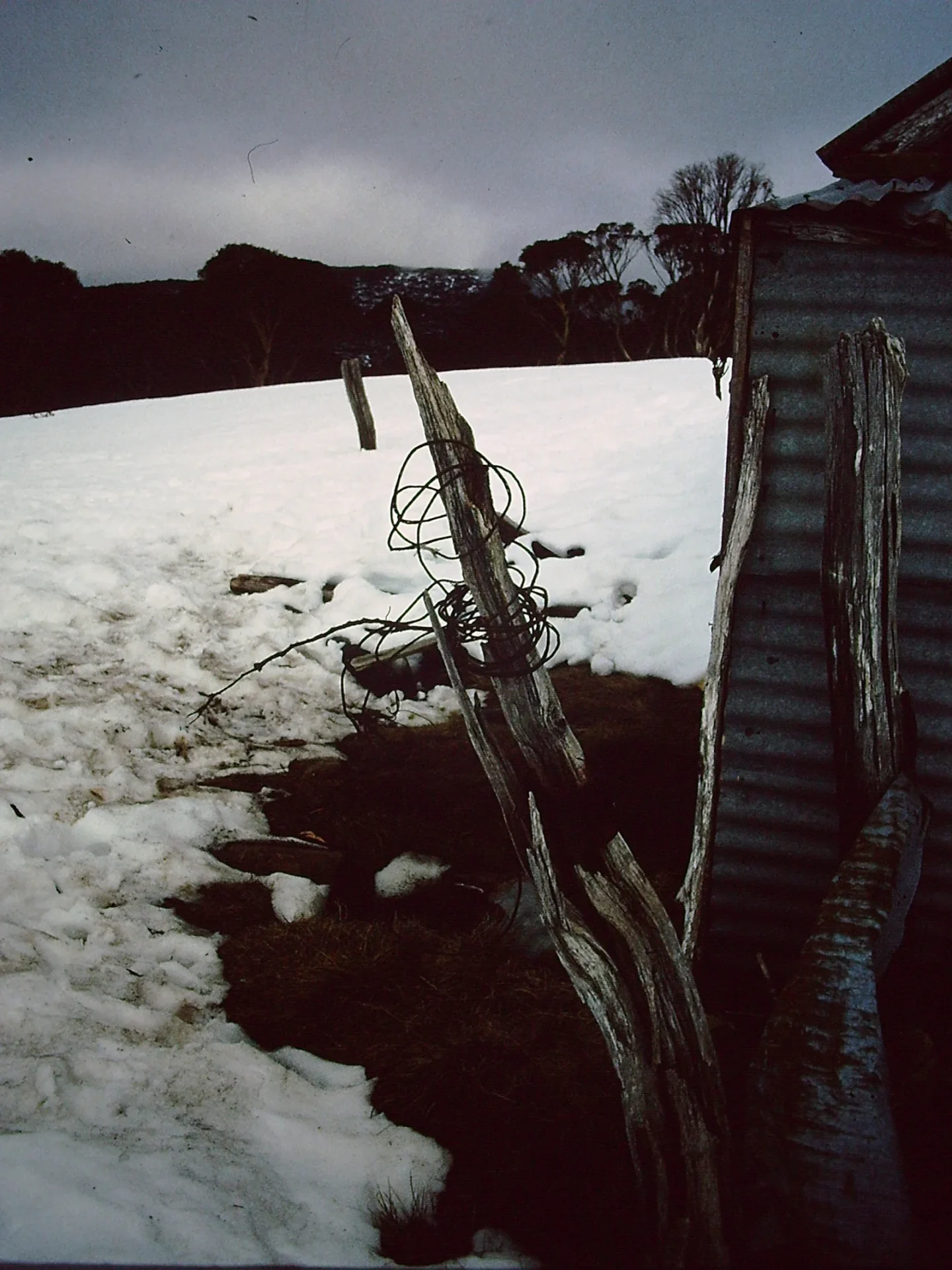 Fence post