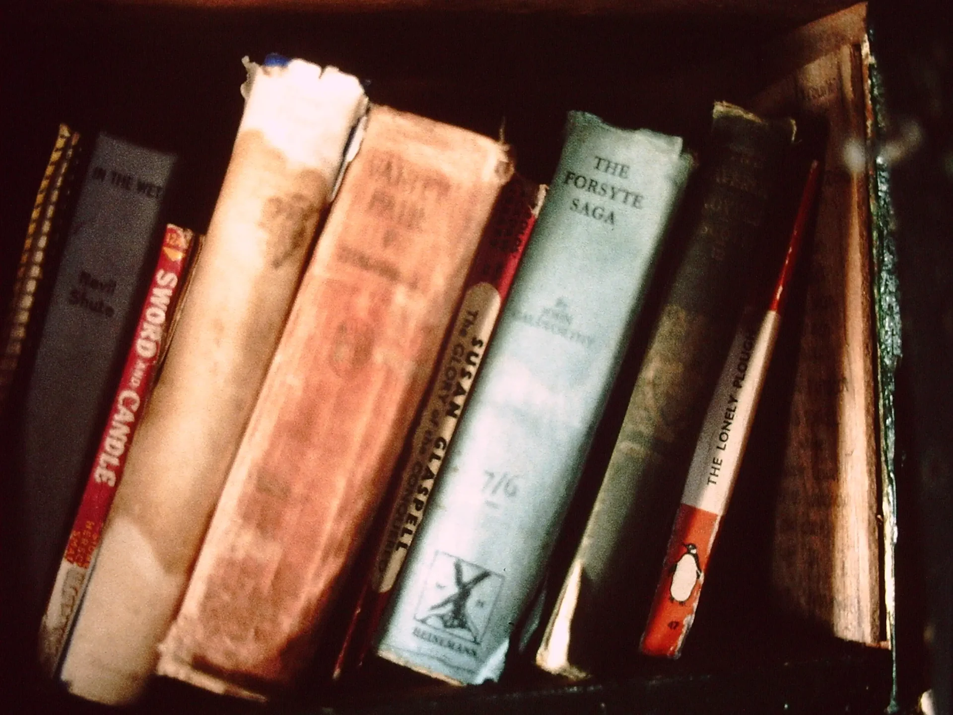 Books on shelf