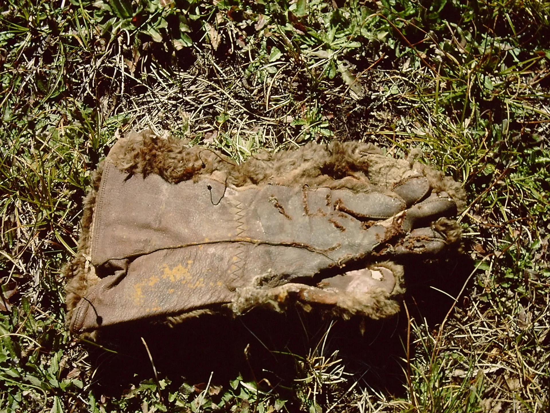 Oven mitt 1