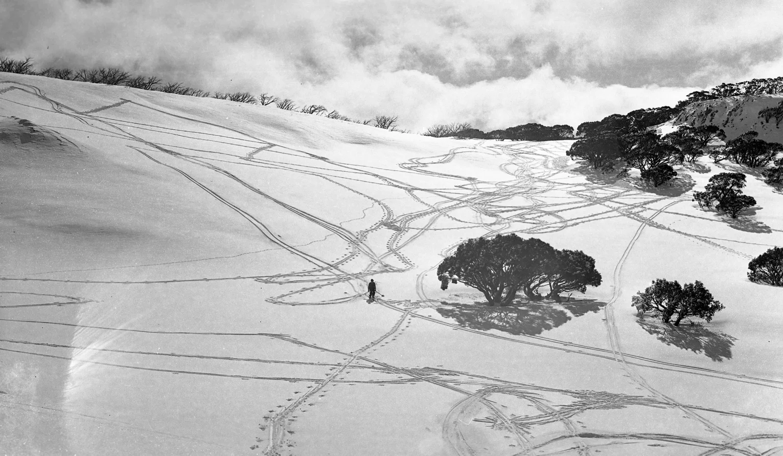 Making tracks...