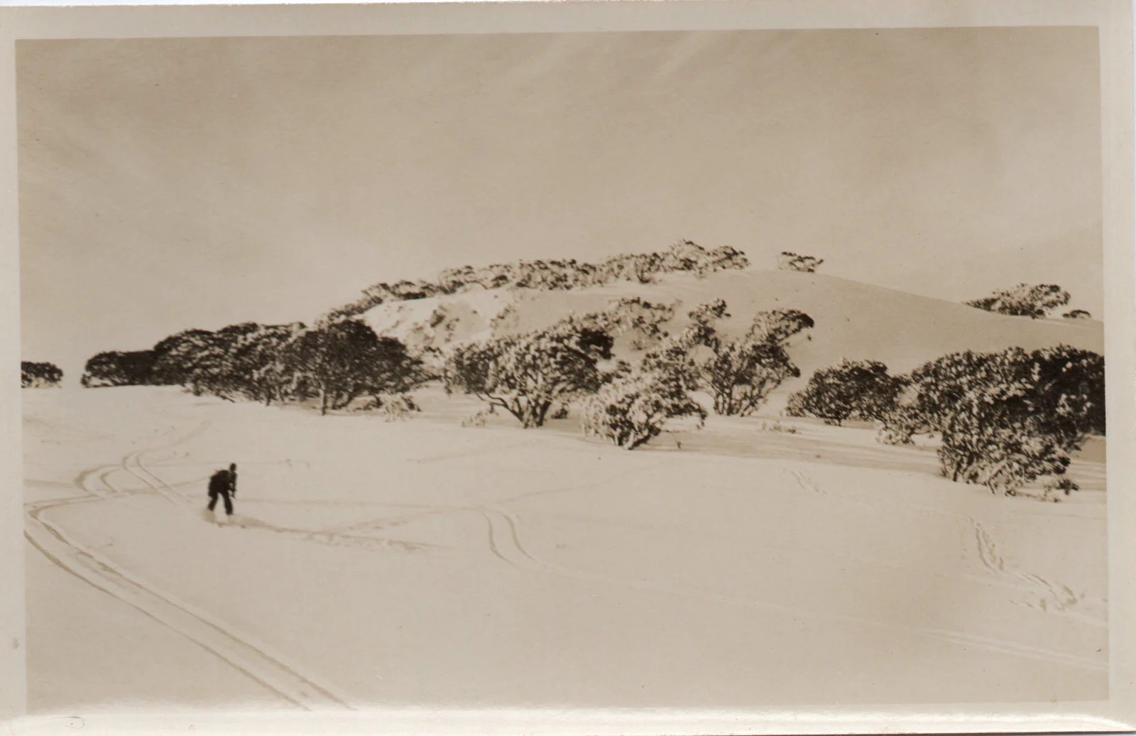 Skier making tracks