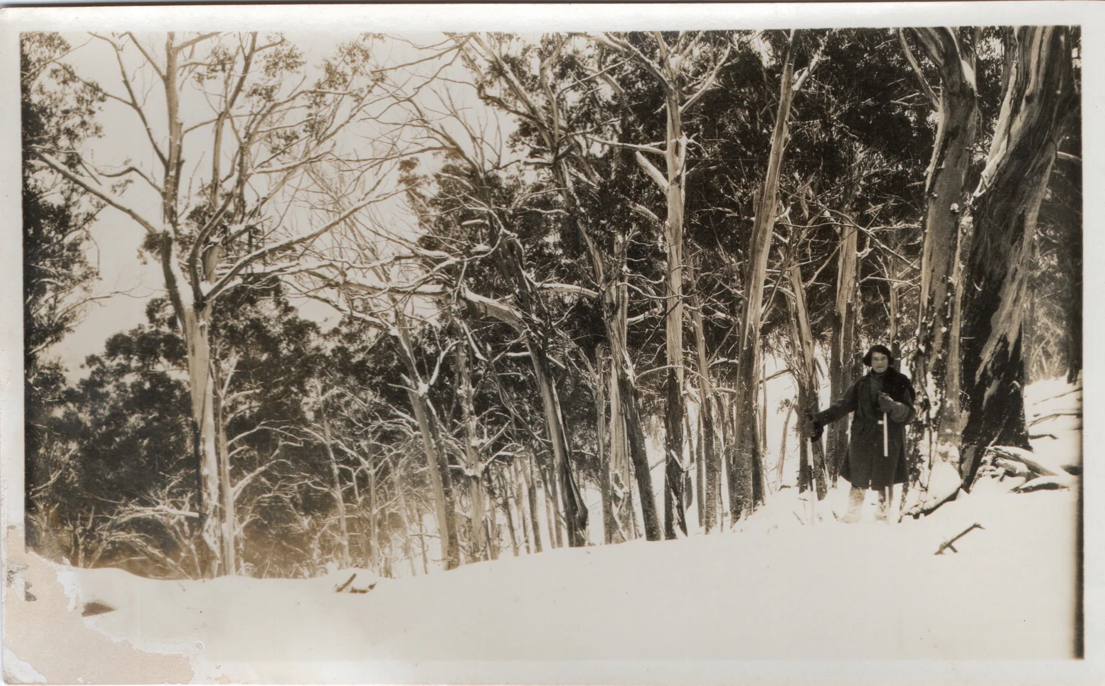 Evelyn standing in snow