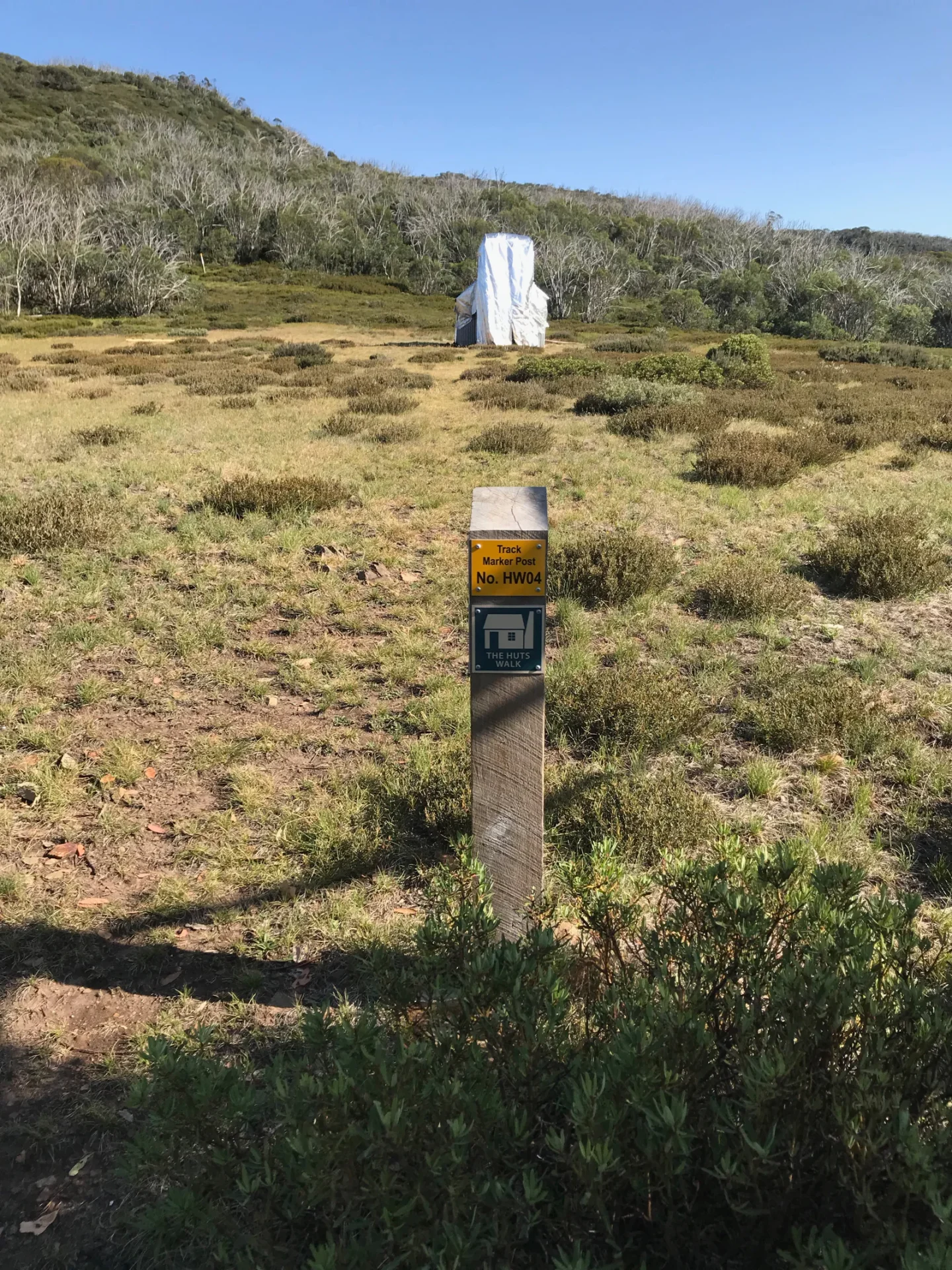 Track marker