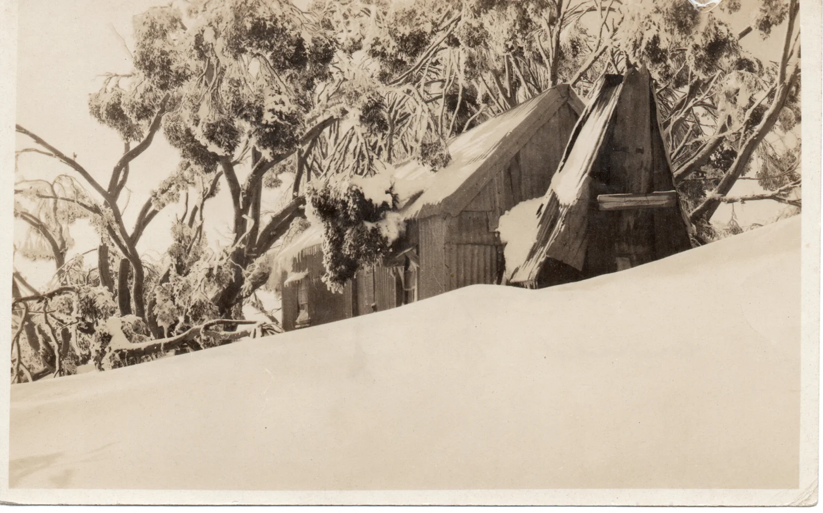 Cattlemen_s shelter