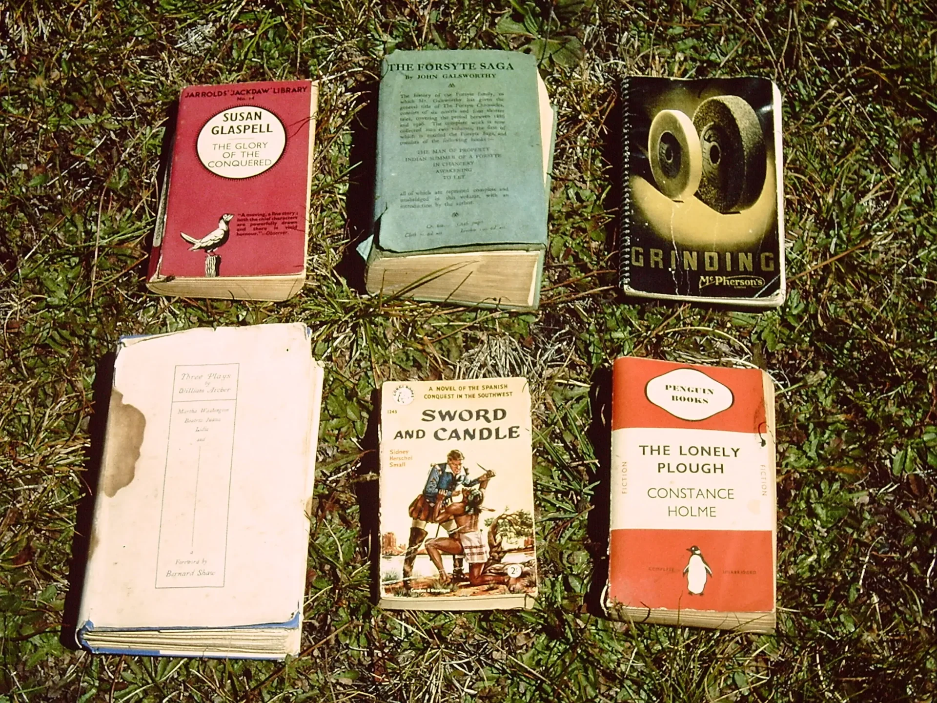 Books on grass