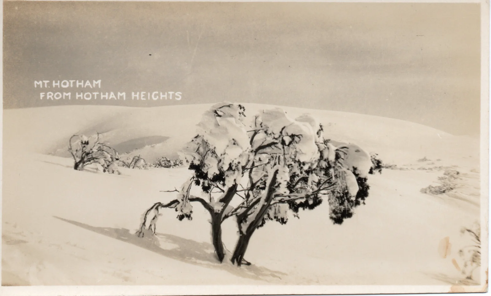 Mt Hotham from Hotham Heights