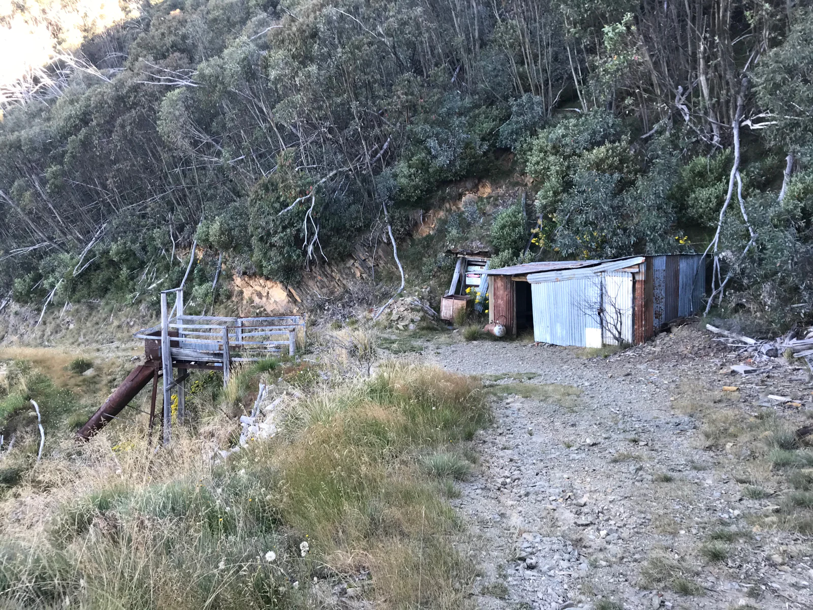 Mine
