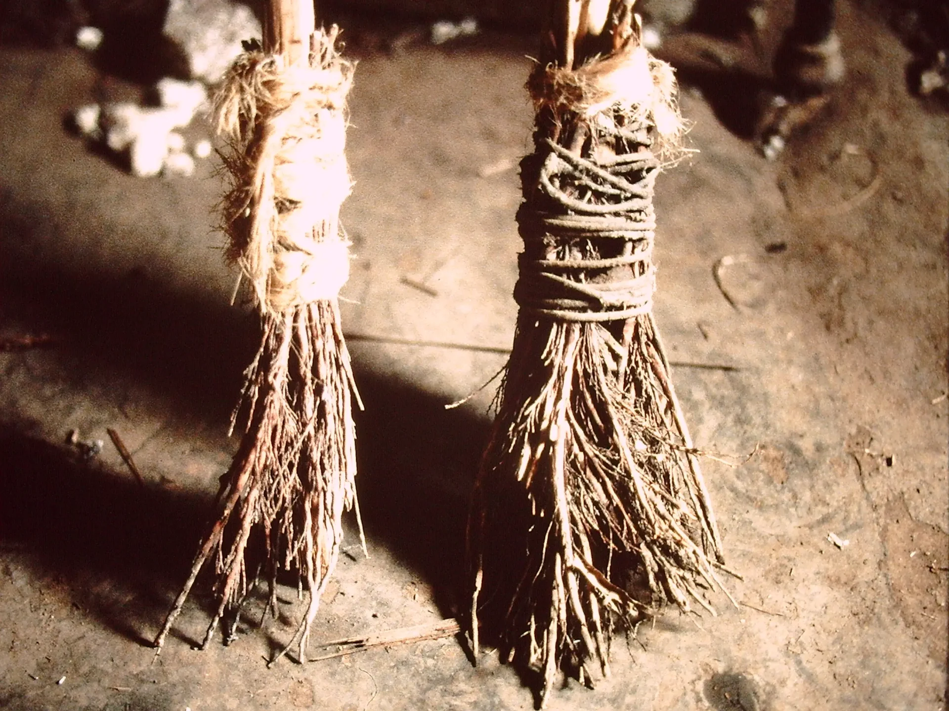 Brooms - close-up