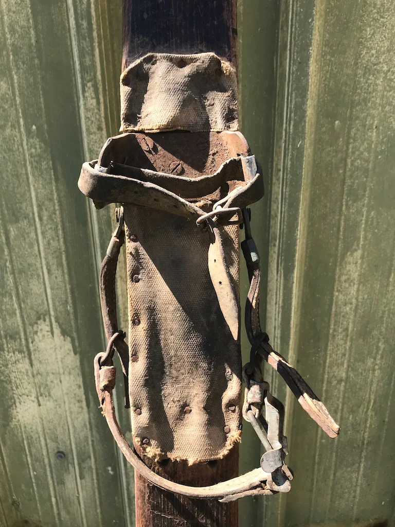 Binding - top (loose)
