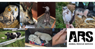 Steun Animal Rescue Service