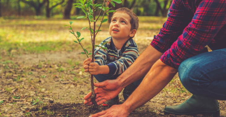 bizon Handvol Drijvende kracht Succesvol bomen planten - Crowdfunding Steunactie