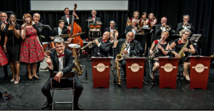 Tulipan Swing in Langa