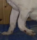 img 20190328 113835