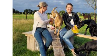 Help zorgboerderij de Pompoen