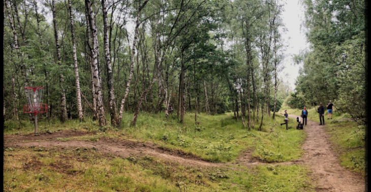 Discgolf in Vlaanderen