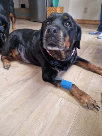 fb img 1658486555708.