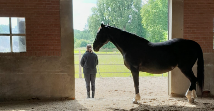 Inzameling therapiesessies voor familie en vrienden