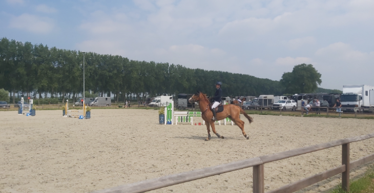 Nieuw paard