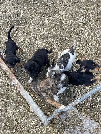 930de625 3a7c 4385 8dd2 2d0a88ceeda0.