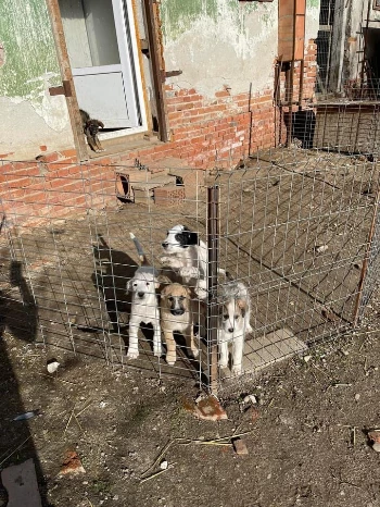 efacbaff b35b 4de2 a4fe 879994e11827.