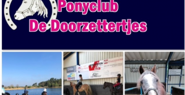 Zadels voor de ponyclub