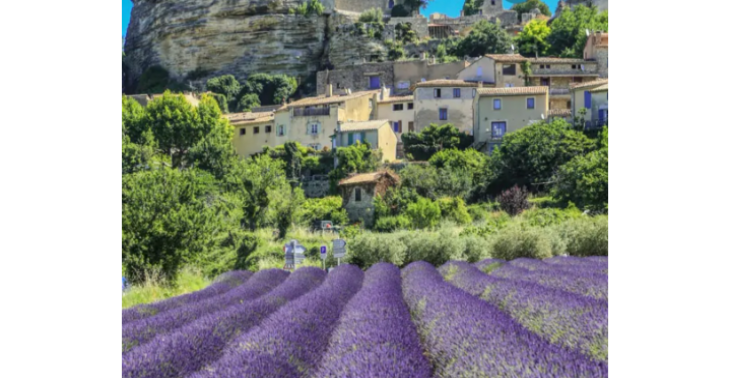 Emigreren naar de Provence