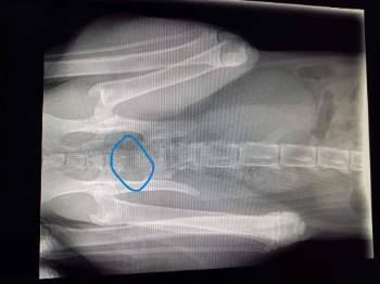 received 2049757158541152.