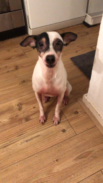 d12196d9 13ea 4f5e b257 2cd7832e7f23.