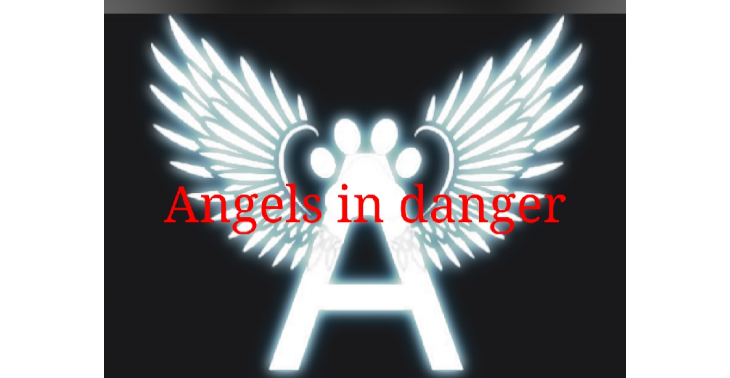 Angels in danger