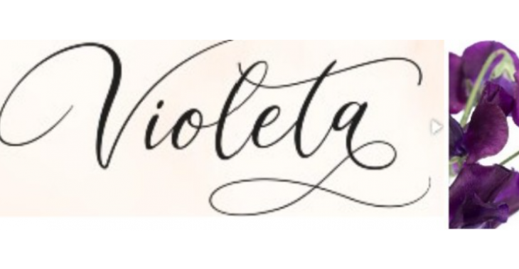 Hostel Violeta 