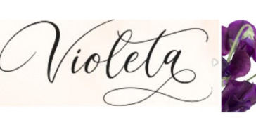 Hostel Violeta